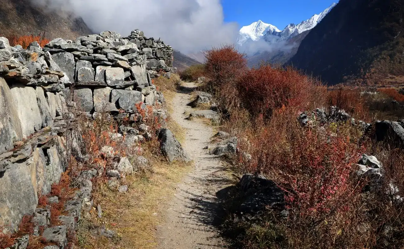 langtang-trek-spring